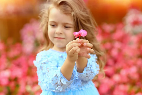 Rosa Pequena Flor Nas Mãos Uma Menina Primeiro Plano Menina — Fotografia de Stock