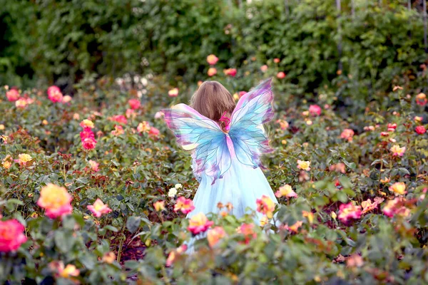 Bambina Elfo Abito Blu Con Ali Vista Dal Retro Nel — Foto Stock