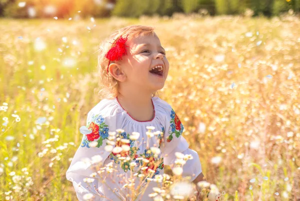 Happy Little Ukrainian Caucasian Girl Shirt Embroidery Walking Field Chamomile — Stock Photo, Image