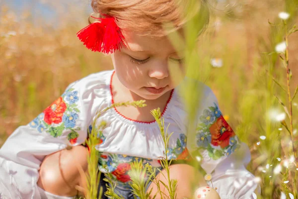 Rolig Liten Ukrainsk Vit Flicka Broderad Skjorta Som Leker Äng — Stockfoto