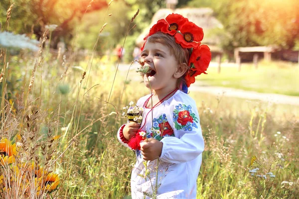 Uma Linda Menina Ucraniana Caucasiana Uma Grinalda Uma Camisa Bordada — Fotografia de Stock