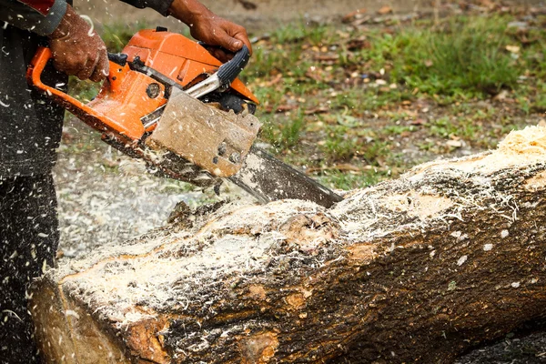 Sawdust — Stock Photo, Image