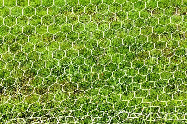 Net のフットボール — ストック写真