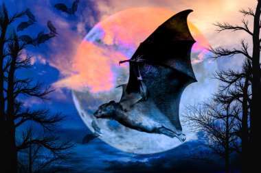 Cadılar Bayramı arka plan, uçan yarasalar