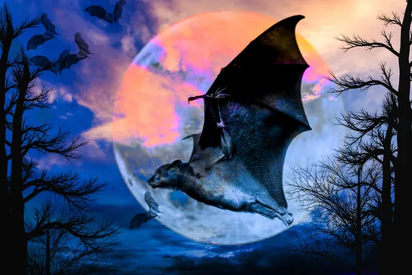 Halloween background, Bats flying