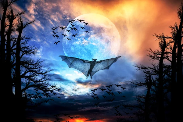 Halloween background, Bats flying — Stock Photo, Image
