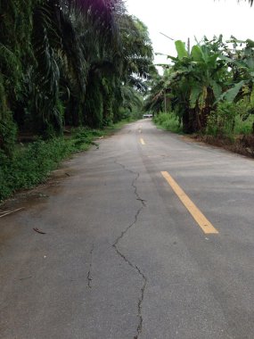 köy yolunda çatlaklar.