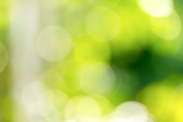 Bokeh background — Stock Photo, Image