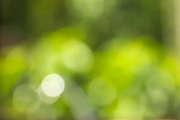 Bokeh — Stockfoto