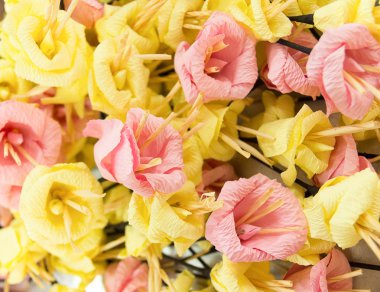 Kağıt çiçek, dakamghantns