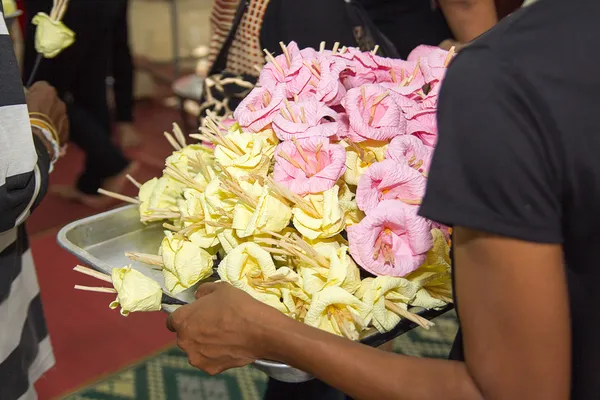 Paper flower , Dakamghantns — Stock Photo, Image