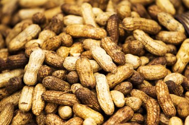 haşlanmış fıstık