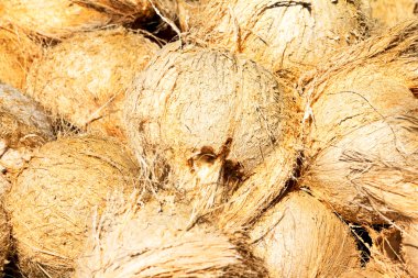 Hindistan cevizi kabuk soyma