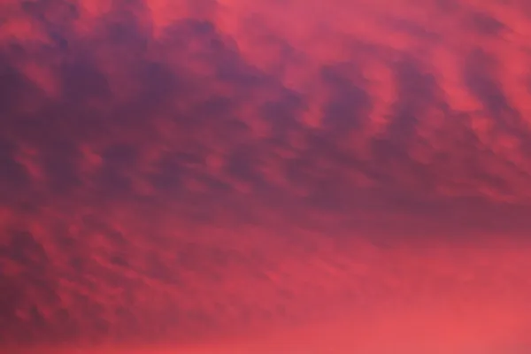 Pink cloud — Stock Photo, Image