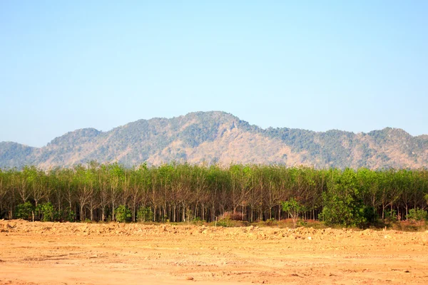 Sanierungsgebiet — Stockfoto