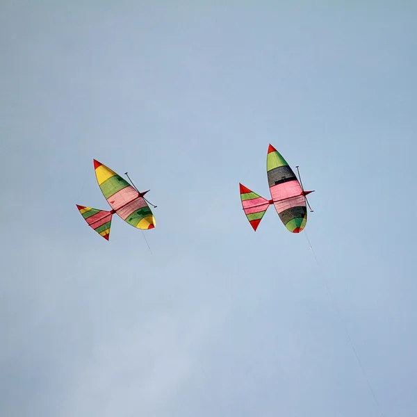 Kites — Stock Photo, Image