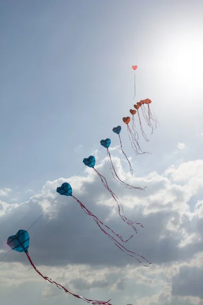 Kites on blue sky — Stock Photo, Image