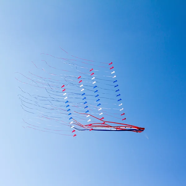 Kites on blue sky — Stock Photo, Image