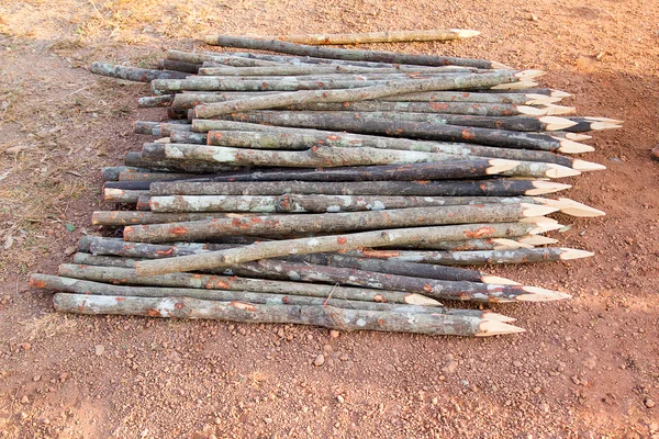 Wood pile — Stock Photo, Image