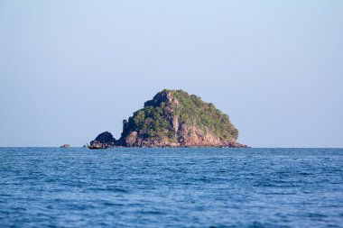 ada