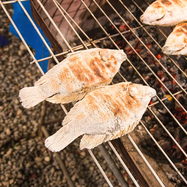 Grillad fisk med salt färg — Stockfoto