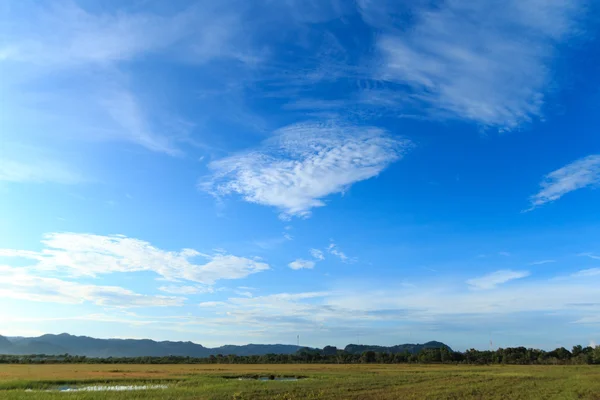 青空 — ストック写真