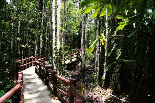 Caminho — Fotografia de Stock