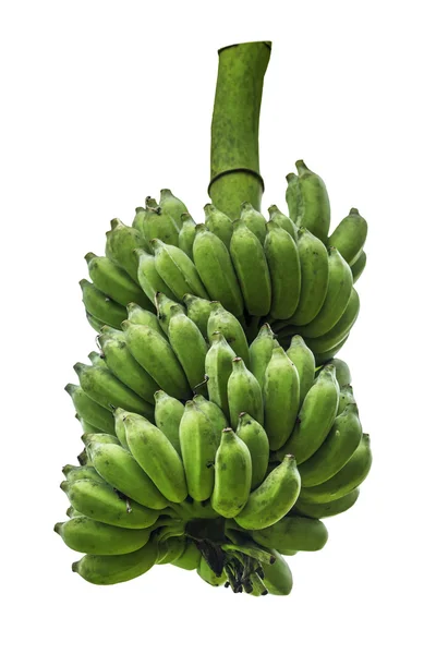 Plátano verde —  Fotos de Stock