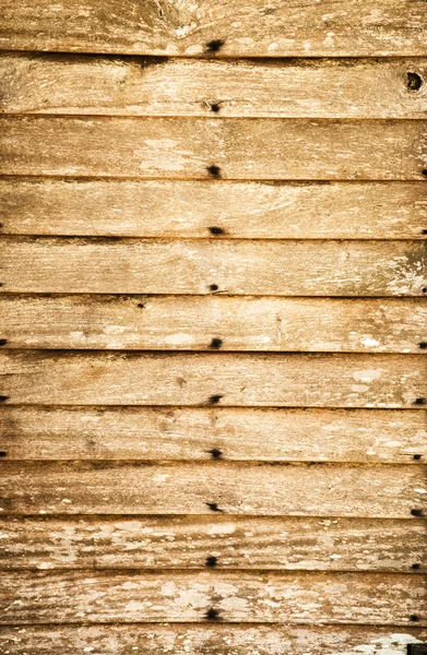 벽 나무 — 스톡 사진