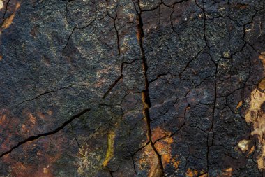 kesintisiz rock doku ve yüzey arka plan deseni 