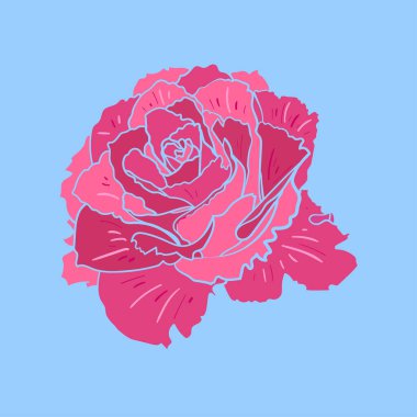 Şakayık çiçeği. Vektör çizimi. Botanik tasarım ögesi.