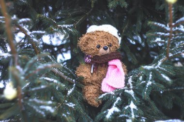 Süslü atkı ve ladin ağacına takılmış sevimli oyuncak ayı.