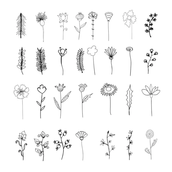 Eléments Vectoriels Ensemble Fleurs Plantes Décrivez Style Esquissé Conception Botanique — Image vectorielle