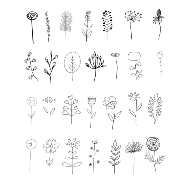 Elementi Vettoriali Set Fiori Piante Schema Stile Abbozzato Disegno Botanico — Vettoriale Stock