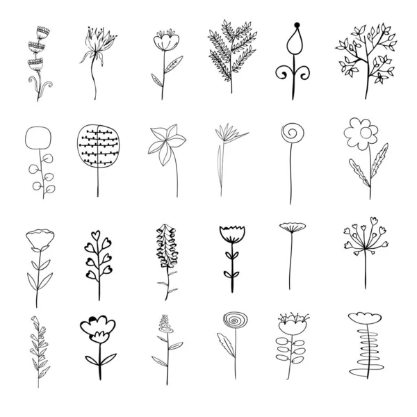 Vektorelemek Virágok Növények Vázlat Vázlatos Stílus Virágkompozíciók Botanikai Tervezése — Stock Vector
