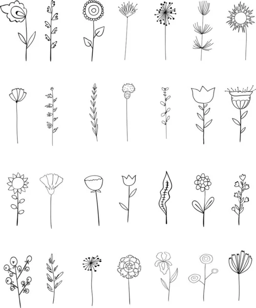 Eléments Vectoriels Ensemble Fleurs Plantes Décrivez Style Esquissé Conception Botanique — Image vectorielle