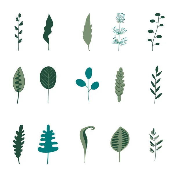 Vektorelemek Különböző Zöld Levelek Erdőkből Kerti Növényekből — Stock Vector