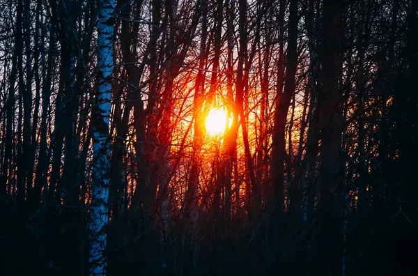 Schöne Wolkenlandschaft Hintergrund Sonnenuntergang Oder Sonnenaufgang Auf Dem Land Strahlender — Stockfoto