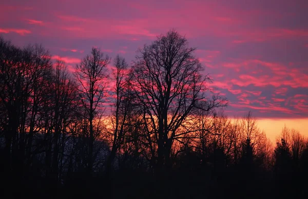 Piękne Tło Chmury Zachód Lub Wschód Słońca Wsi Jasne Niebo — Zdjęcie stockowe