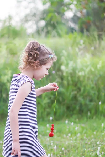 Little Girl Striped Dress Chool Age Collects Ripe Strawberry Kitchen — Stock Photo, Image