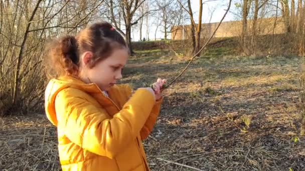 Closeup Footage Little Girl Examining Spring Buds Trees Park — Αρχείο Βίντεο