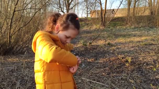 Closeup Footage Little Girl Examining Spring Buds Trees Park — Stockvideo