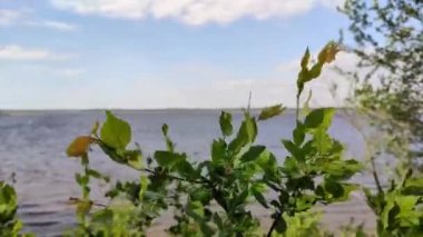 beautiful footage of the nature