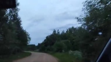 Ormandan geçen arabanın camından alınan görüntüler.
