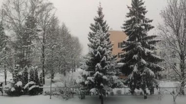 footage of winter landscape with snow-covered trees in the city