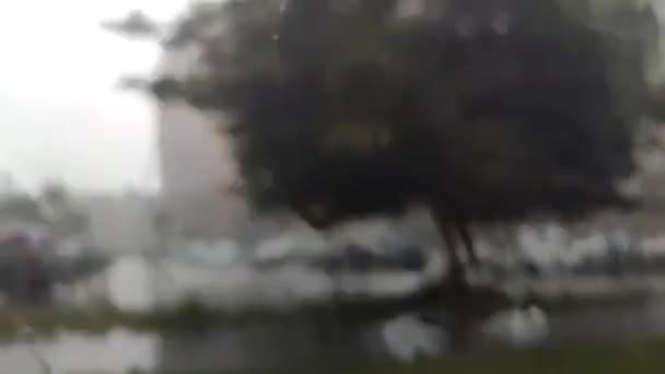 Blurred Footage City Rain — Stockvideo