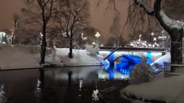 Night Footage Winter City Landscape Latvia — Αρχείο Βίντεο