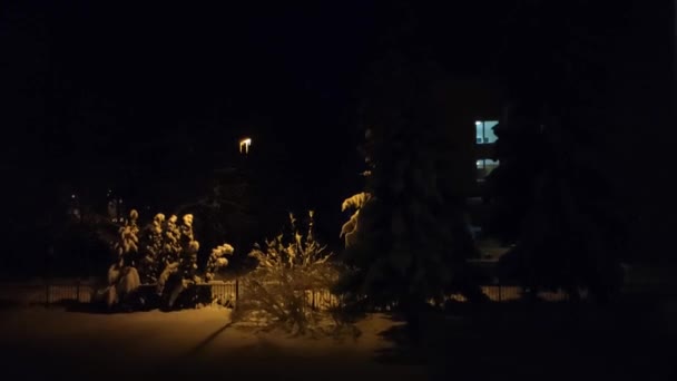 Night Footage Winter City Landscape Latvia — Stockvideo