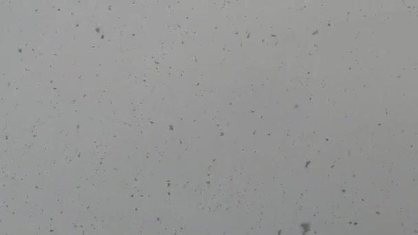 Images Rapprochées Flocons Neige Dans Ciel Nuageux — Video