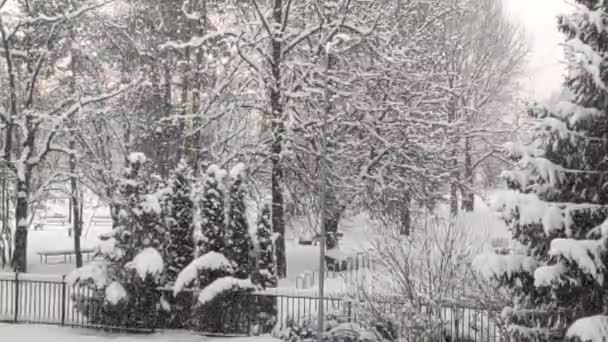 Imágenes Del Paisaje Invernal Con Árboles Cubiertos Nieve Ciudad — Vídeos de Stock